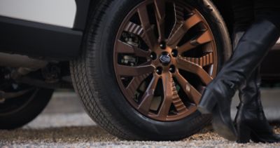 Available bronze-finish 19-inch alloy wheels