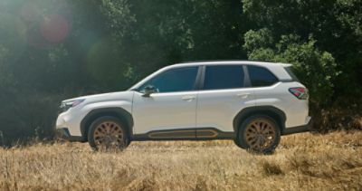 An InDepth Look into the 2025 Subaru Forester