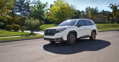 foresters creek outside