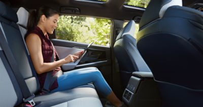 Solterra Interior