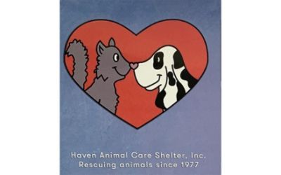 Haven Animal Care Shelter