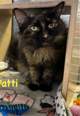 A Match Made in Heaven