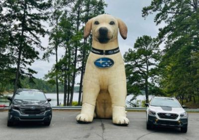 Cycling, Running, Swimming and Beyond