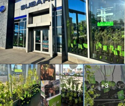 Growing a Greener Community Together