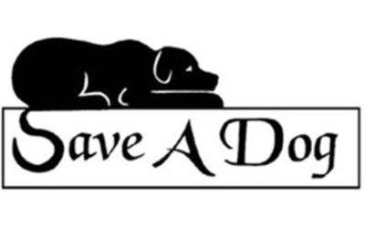 SAVE A DOG