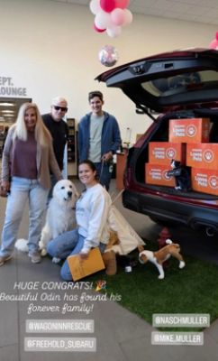 Where Love Finds a Home: Wag On Inn at Freehold Subaru!