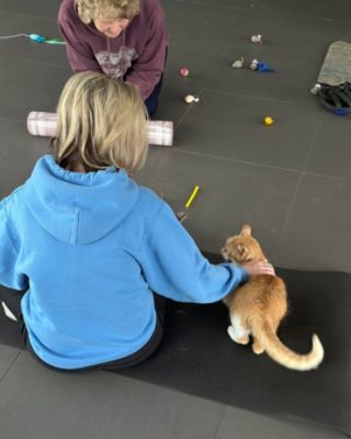 Thomas Subaru Cumberland Hosts 'Purr-fect' Cat Yoga Fundraiser for Allegany County Animal Shelter