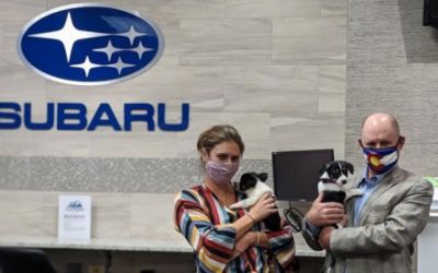 Subaru Loves Pets Humane Society of Boulder Valley