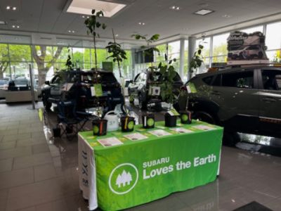 Every Tree Found a Home: Dellenbach Motors' Arbor Day Giveaway a Complete Success