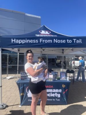 Driving Paws-itivity: Thank You, Michael Hohl Subaru!