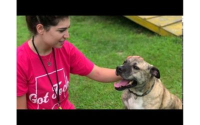 Matilda - An Underdog Story