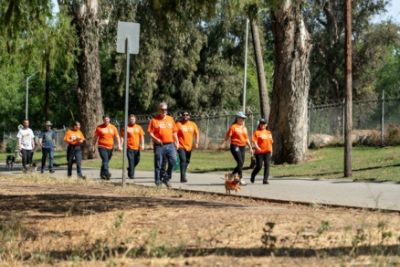 DCH Subaru of Riverside Drives Impact at Walk with the Animals