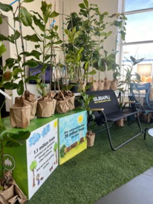 Arbor Day Tree Distribution At Subaru Santa Monica