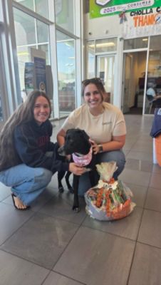 Tucson Subaru Makes Your Dog’s Day With Social Contest