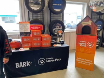 Della Subaru Really Loves Pets