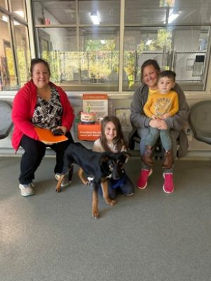 Vann York Subaru with Randolph County Animal Services