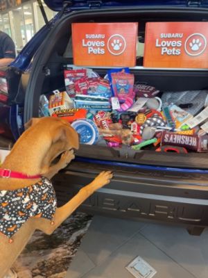 Stuff the Subaru with Donations and New Parent Pet kits