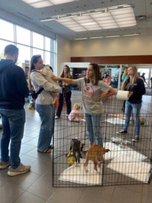 Friends Forever Animal Rescue