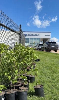 Brilliance Subaru Loves The Earth 
