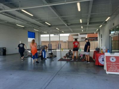 Home Fur Good Subaru Adoption Event