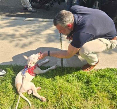 Subaru Stamford Shares the Love with Lucky Dog Refuge for the Third Year! 