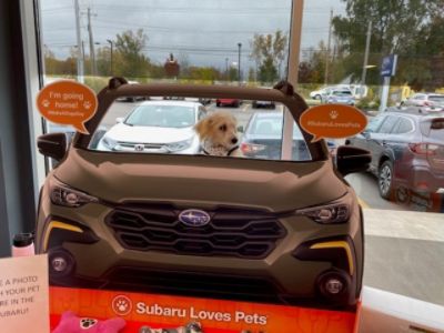 Subaru Loves Pets Adoption Month