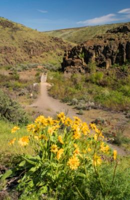 McCurley Subaru of Yakima's Love Grows Wild