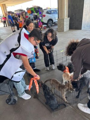 Trunk or Treat benefiting Midland Humane Coalition