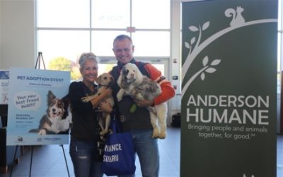 Dog Adoption Event at Brilliance Subaru