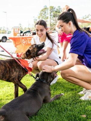 Baldwin Subaru Drives Lifesaving Impact for St. Tammany Animals – Subaru Loves Pets 2025