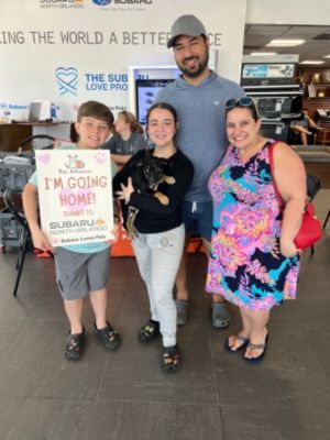 Subaru North Orlando Loves Helping Pets Find Furever Homes