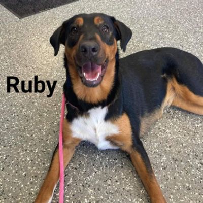 Ruby's Long Journey