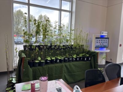 Trees for Everyone! 
