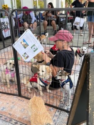 Gone to the Dogs Rescue and Subaru Pacific