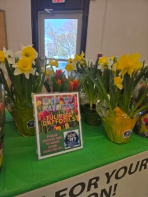 Spring flowers for NS Clean & Green Day volunteers.