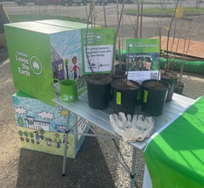 Tree Giveaway with Motor Mile Subaru 