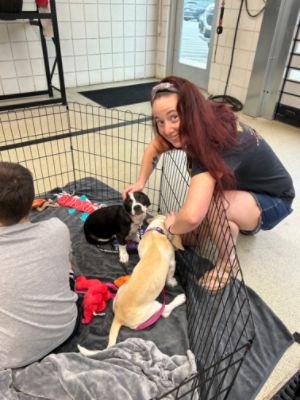 PA Caring for K9s