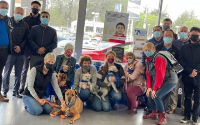 Serramonte Subaru's Dog Adoption Event