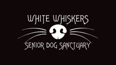White Whiskers Senior Dog Sanctuary