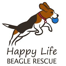 Happpy Life Beagle Rescue