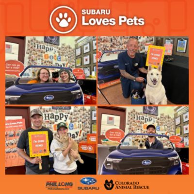 The Road Home: Subaru's Love Promise for C.A.R.E.'s Shelter Pets
