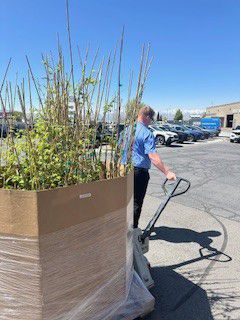 DOUG SMITH SUBARU DISTRIBUTES FREE NATIVE TREES TO HELP AMERICAN FORK COMMUNITY THRIVE