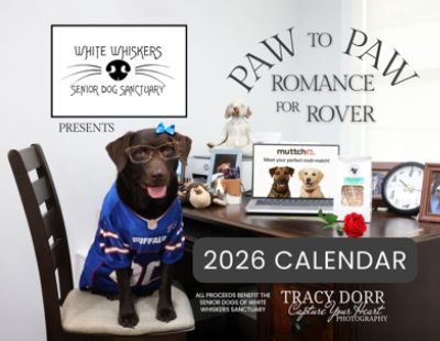 Northtown Subaru and White Whiskers Senior Dog Sanctuary