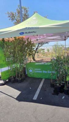  Subaru Loves the Earth - Tree Distribution