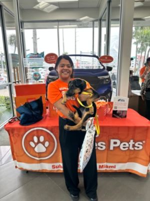 Driving Love Home: Subaru of North Miami and the Humane Society Unite for Pets