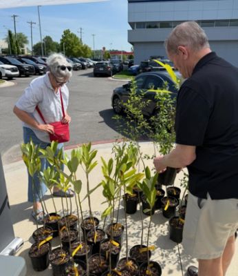 Loves Earth Tree Distribution 