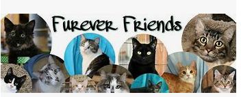 Supporting Furever Friends Animal Oasis