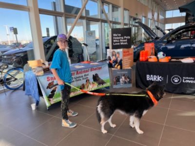 Subaru partnership helps with adoptions