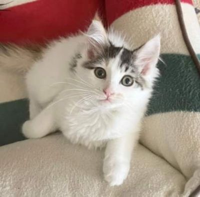 A Home For Phoebe