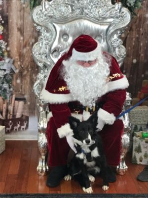 Pet Photos with Santa Claus Supports K9 Hero Haven